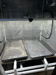 Full Indoor grow system