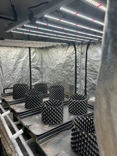 Full Indoor grow system