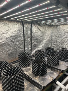 Full Indoor grow system