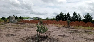 CLEAN Rubble and soil wanted