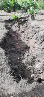 Special request for soil and clean rubble