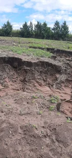 Special request for soil and clean rubble