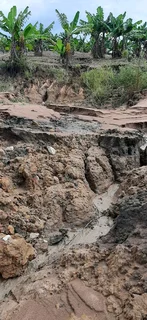 Special request for soil and clean rubble