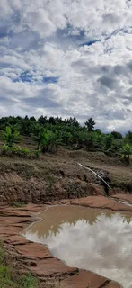 Special request for soil and clean rubble