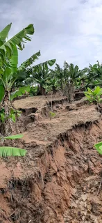 Special request for soil and clean rubble