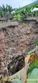 Special request for soil and clean rubble