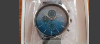 Skagen watch