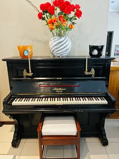 Bluthner Leipzig upright Piano