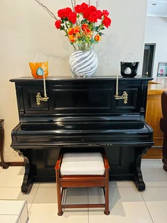 Bluthner Leipzig upright Piano