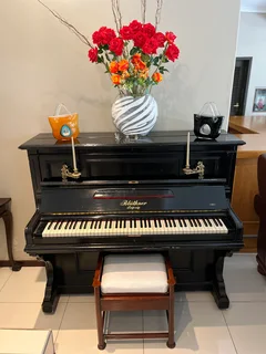 Bluthner Leipzig upright Piano