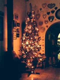 Christmas Tree And Decorations