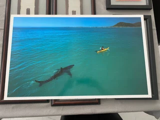 Great White Cape Town Poster Africa Geographic Unframed on Hardboard