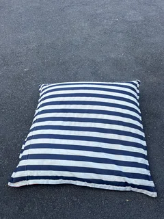 Pool beanbag/lounger