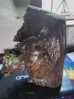 PAINTED/VARNISHED TREE STUMP WITH FOUNTAIN LIKE LOOK, ADD YOUR TOUCH.  FOR SALE AT SEA VIEW/BELLAIR.