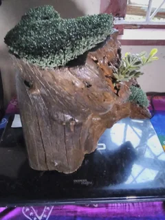 PAINTED/VARNISHED TREE STUMP WITH FOUNTAIN LIKE LOOK, ADD YOUR TOUCH.  FOR SALE AT SEA VIEW/BELLAIR.