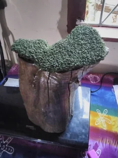 PAINTED/VARNISHED TREE STUMP WITH FOUNTAIN LIKE LOOK, ADD YOUR TOUCH.  FOR SALE AT SEA VIEW/BELLAIR.