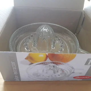 Fruit Juicer