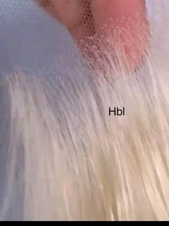 Hd lace closures blonde