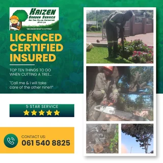 GARDEN SERVICE AND TREE FELLING