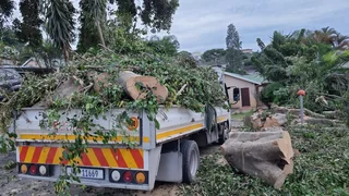 GARDEN SERVICE, TREE FELLING AND REFUSE REMOVAL