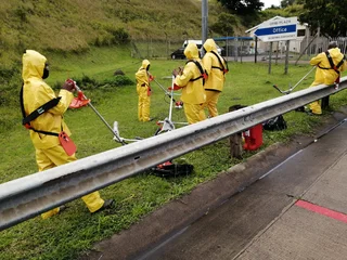 GARDEN SERVICE, TREE FELLING AND REFUSE REMOVAL