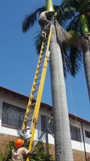 GARDEN SERVICE,TREE FELLING AND REFUSE REMOVAL