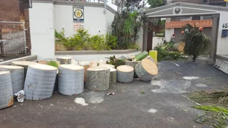 GARDEN SERVICE AND TREE FELLING