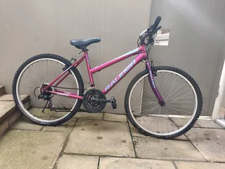 Raleigh Alpine Mountain Bike  - needs TLC