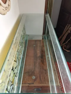 Female Taiwanese Rat Snake with Cage