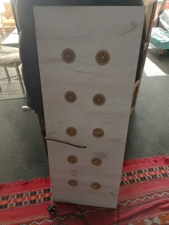 Female Taiwanese Rat Snake with Cage