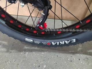 Nguni Fat tyre Ebike