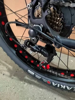 Nguni Fat tyre Ebike