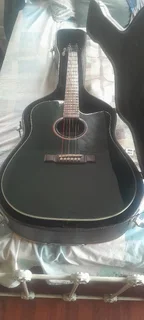 Washburn acoustic/electric