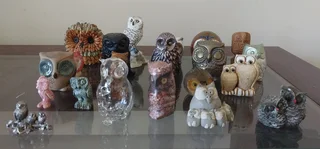 Classic Owl Collection