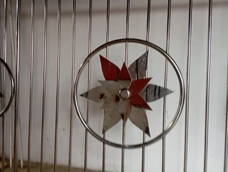 Stainless Steel Driveway Gate for Sale