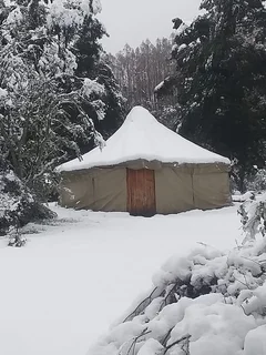 Homesteading/ off grid/ tiny house/ self sustainable community/ property for rent