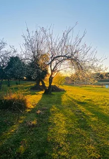 Homesteading/ off grid/ tiny house/ self sustainable community/ property for rent