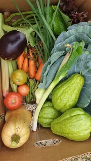 Homesteading/ off grid/ tiny house/ self sustainable community/ property for rent