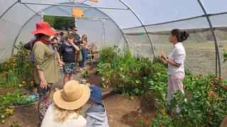 Homesteading/ off grid/ tiny house/ self sustainable community/ property for rent