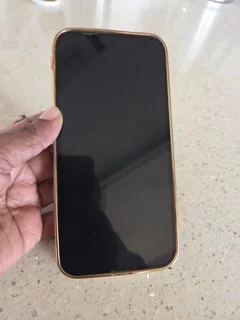 Promax 13 for sale 10500