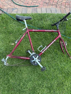 Avalanche mountain bike