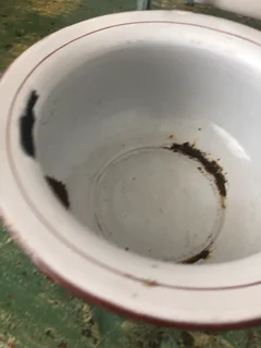 EARLY 1900 CHAMBER POT IN DECORATED ENAMEL