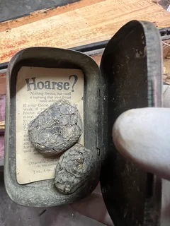 100 Year Old Violin Case