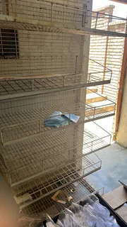 Shelves/Racks - Ad posted by Clive Maharaj