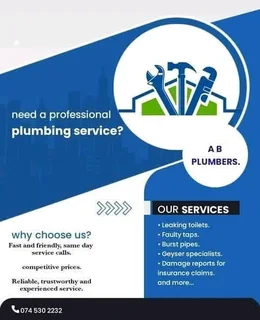 Do you need a Plumber?