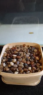 Full fishtank with accessories