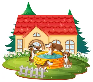 Buddy's Pet and Home Care Durbanville