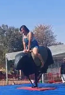 Mechanical Bull Hire - for the best party ever !!
