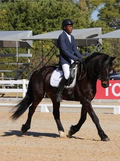 Horse Riding Lessons