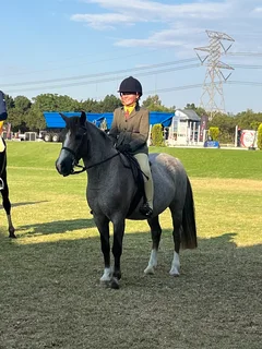 Horse Riding Lessons